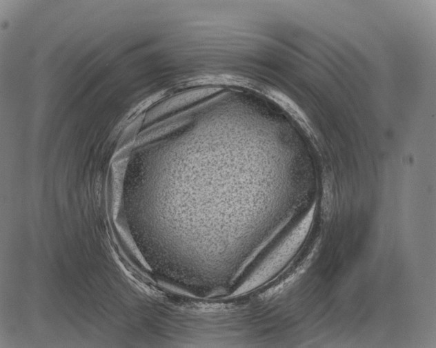 X0000082680849200702091630