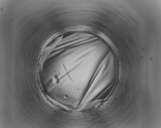 X0000082680850200702091630