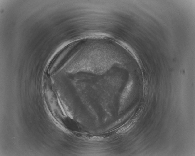 X0000082680851200702091630