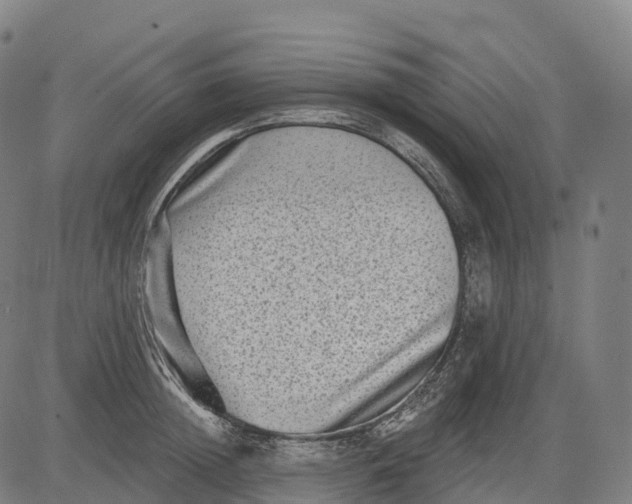 X0000082680852200702091630