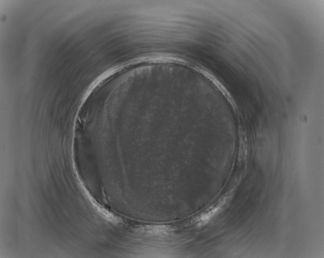 X0000082680853200702091630