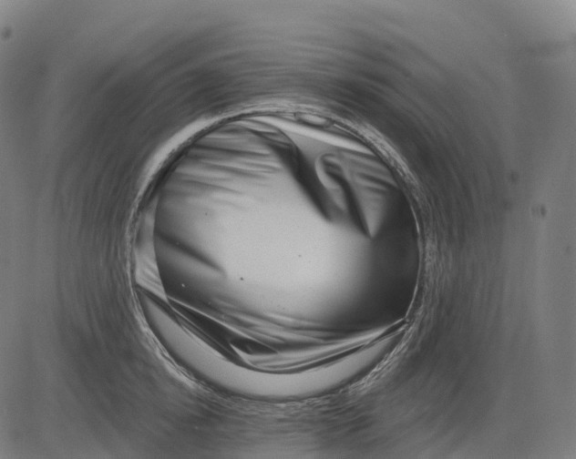 X0000082680854200702091630