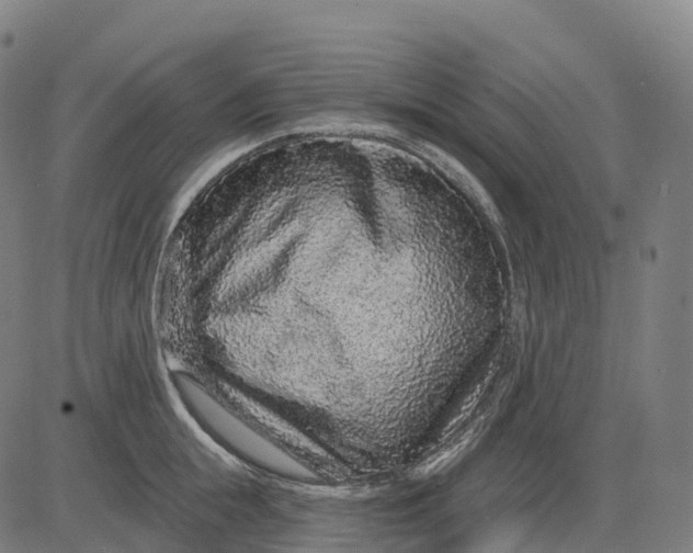 X0000082680855200702091630