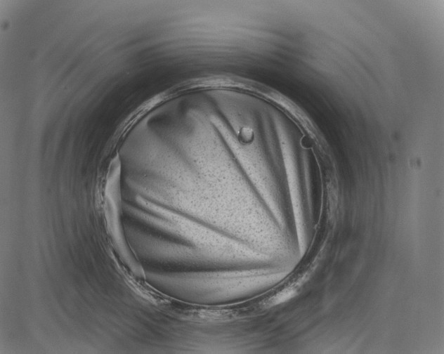 X0000082680857200702091630