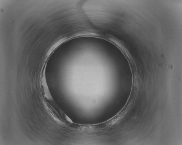 X0000082680858200702091630