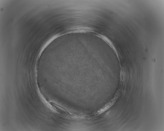 X0000082680859200702091630