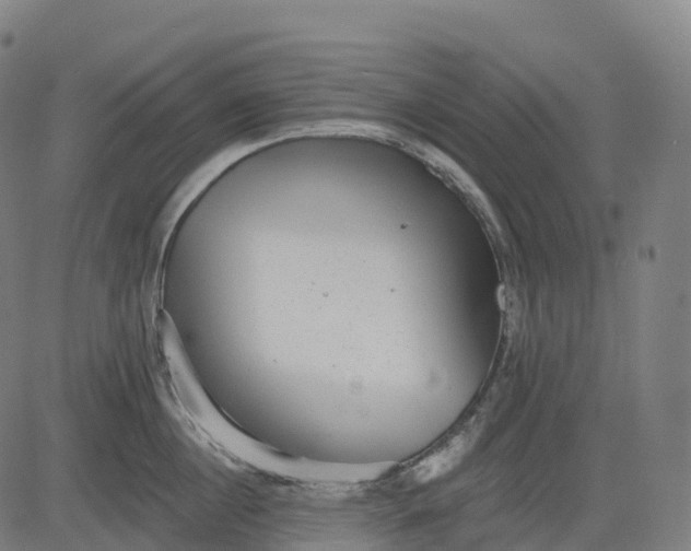 X0000082680860200702091630