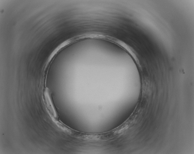 X0000082680861200702091630