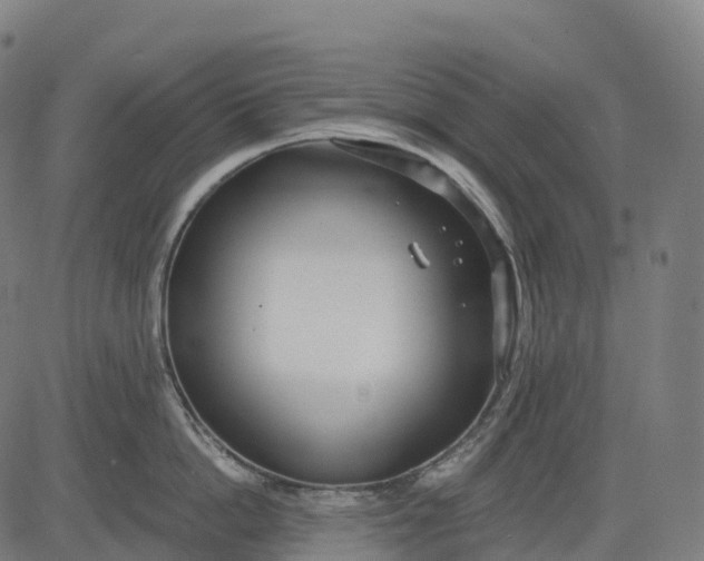 X0000082680862200702091630