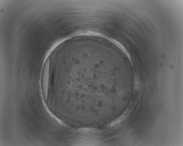 X0000082680863200702091630