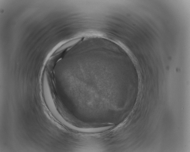 X0000082680864200702091630