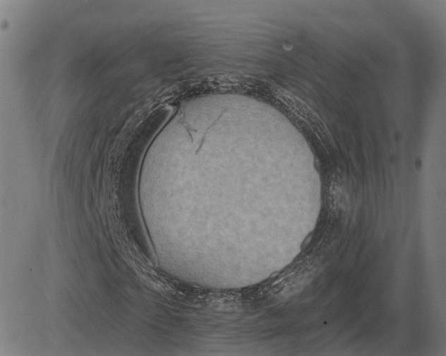 X0000082680865200702091630