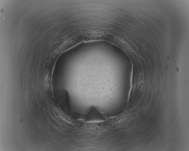 X0000082680866200702091630