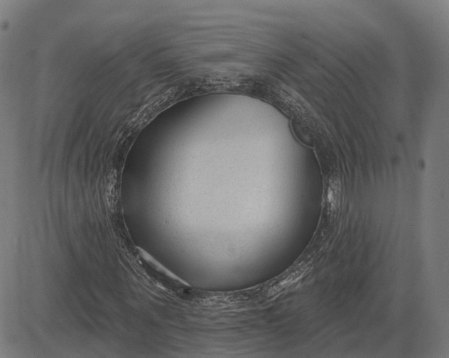 X0000082680867200702091630