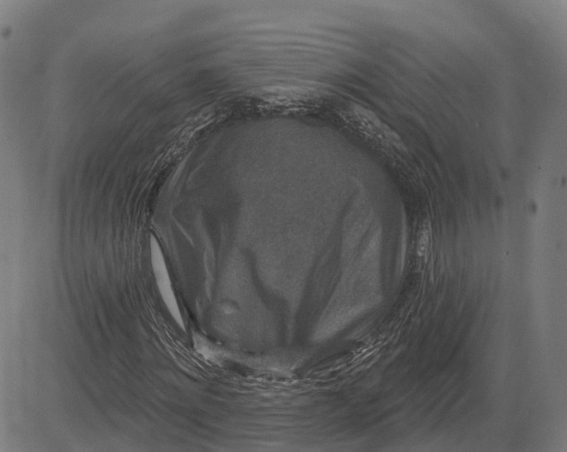 X0000082680868200702091630