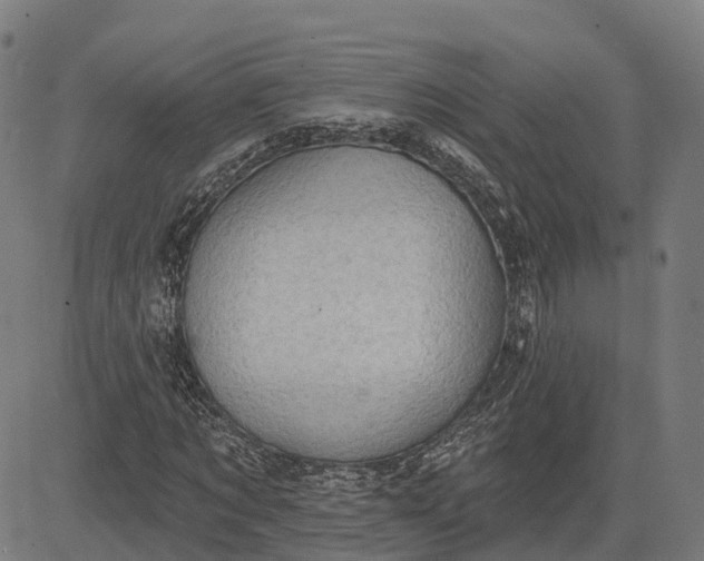 X0000082680869200702091630