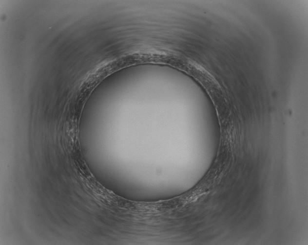 X0000082680870200702091630