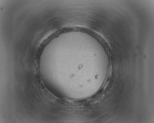 X0000082680871200702091630