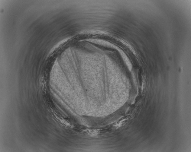 X0000082680872200702091630