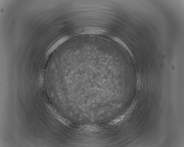 X0000082680874200702091630