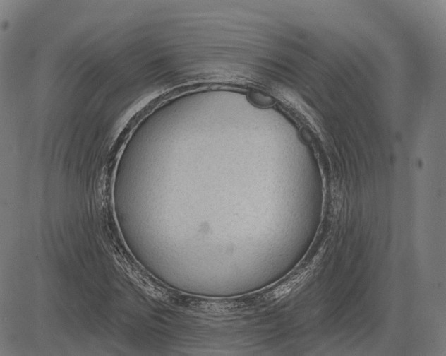 X0000082680875200702091630