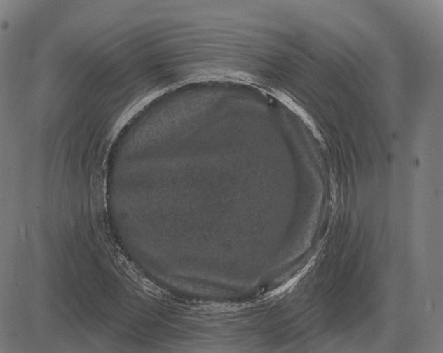 X0000082680877200702091630