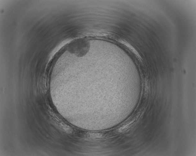 X0000082680878200702091629