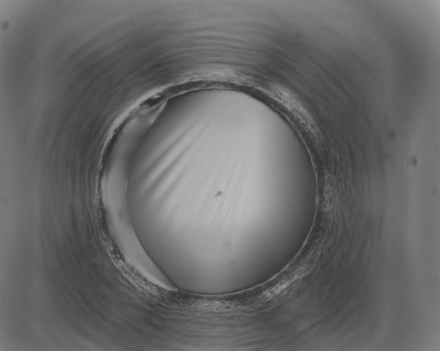 X0000082680880200702091629