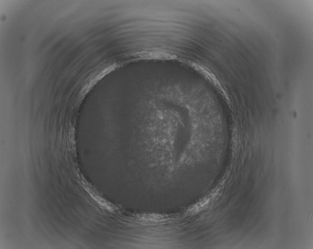 X0000082680881200702091629