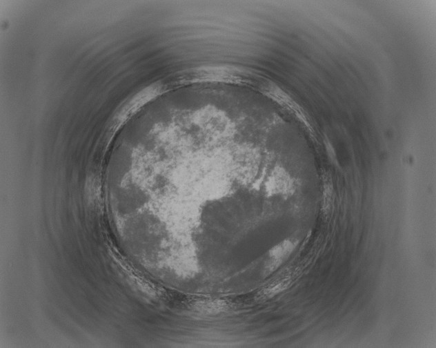 X0000082680882200702091629