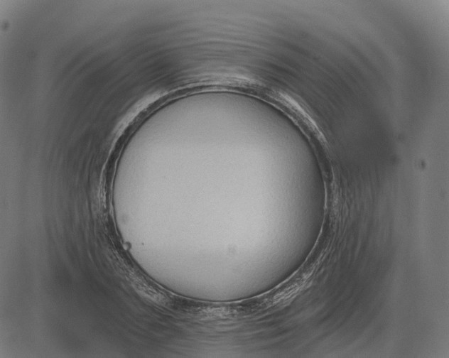 X0000082680883200702091629