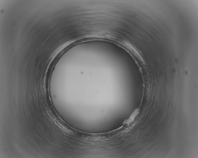 X0000082680884200702091629