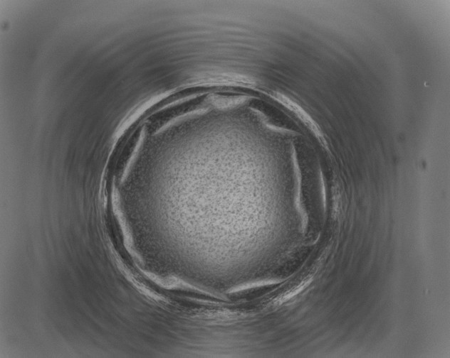 X0000082680885200702091629