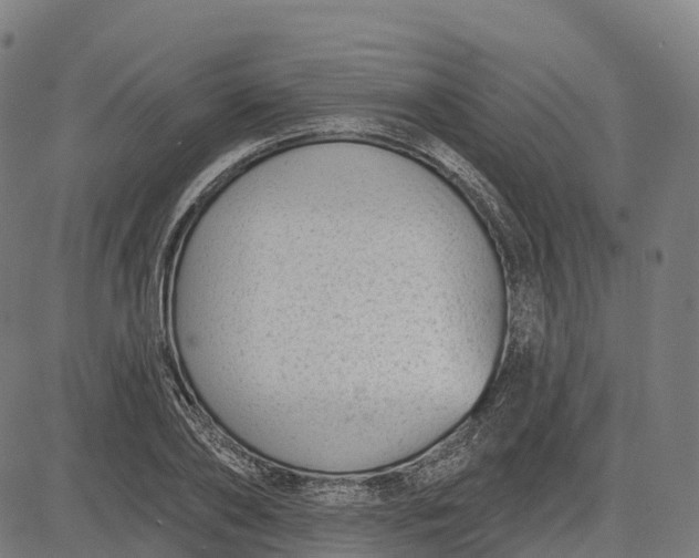 X0000082680886200702091629