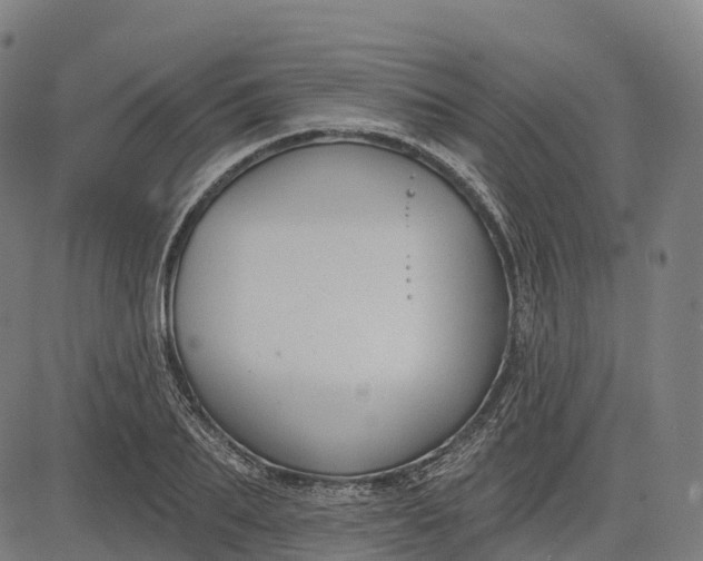 X0000082680887200702091629