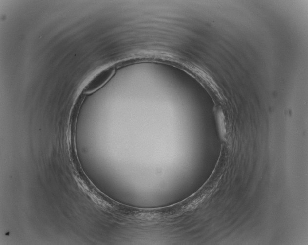 X0000082680888200702091629