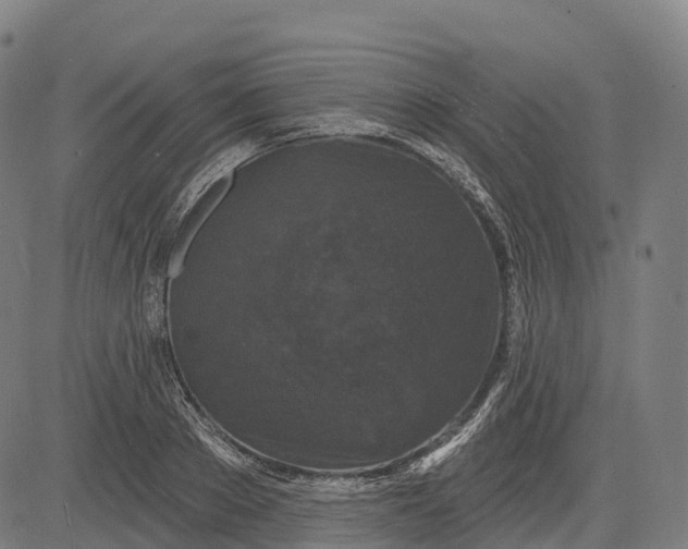 X0000082680889200702091629