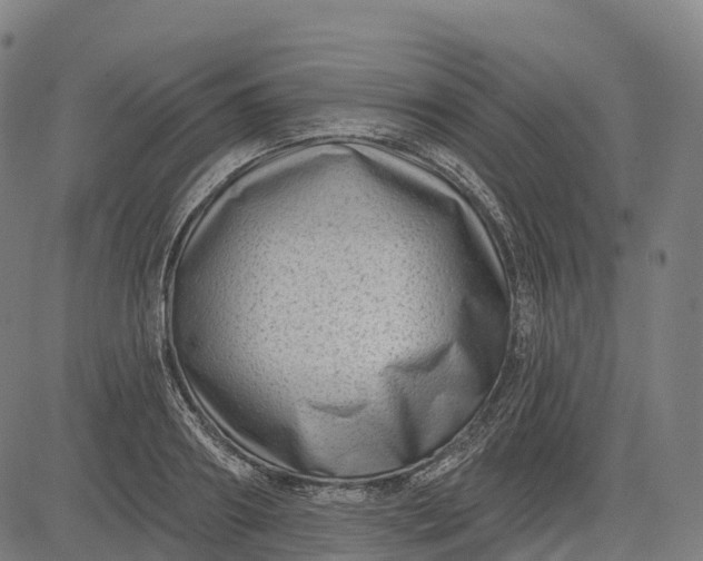 X0000082680890200702091629