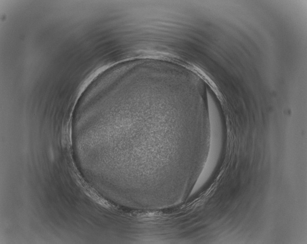 X0000082680891200702091629