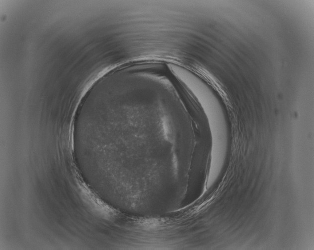 X0000082680892200702091629