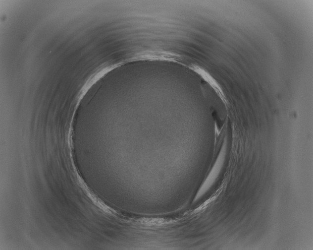 X0000082680893200702091629