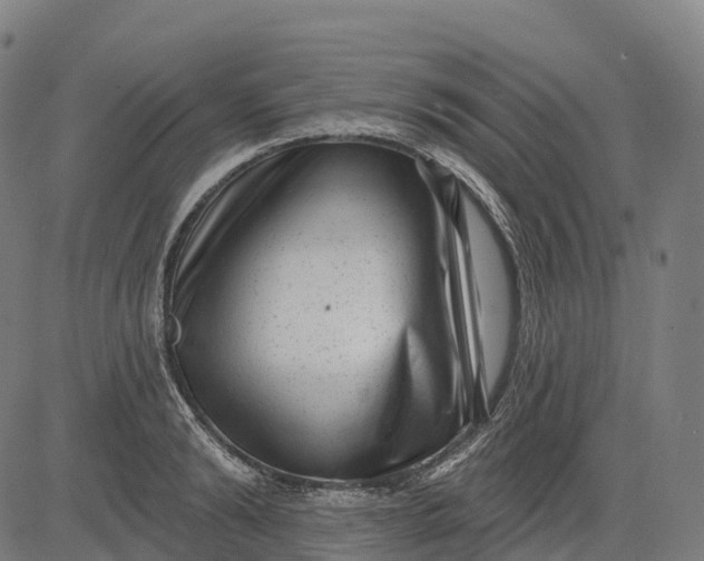 X0000082680894200702091629