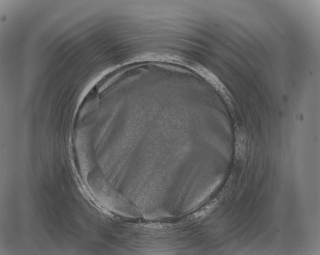 X0000082680896200702091629