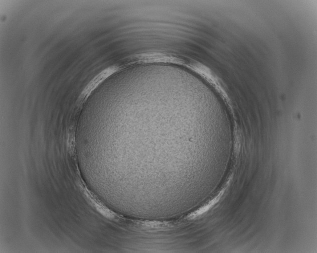 X0000082680897200702091629