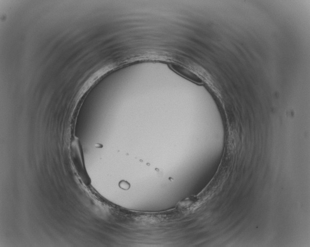 X0000082680898200702091629