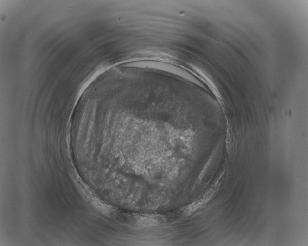 X0000082680899200702091629