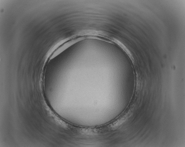 X0000082680901200702091629