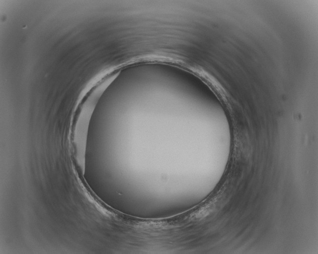 X0000082680902200702091629