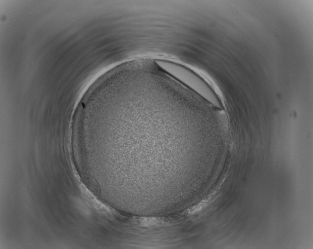 X0000082680903200702091629