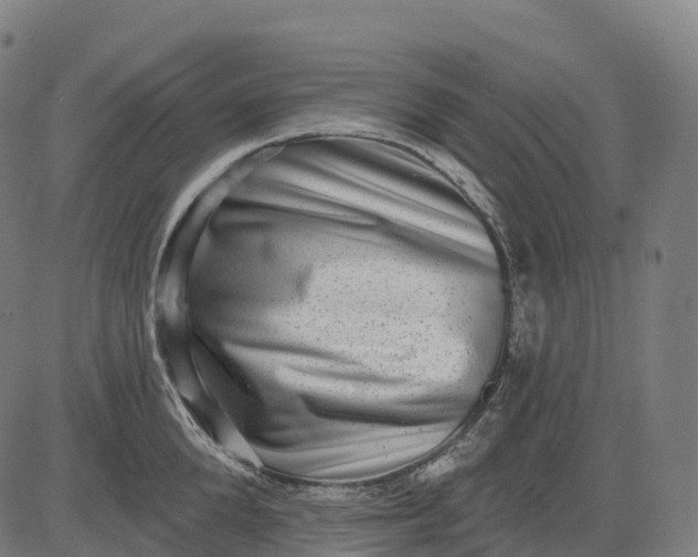 X0000082680904200702091629